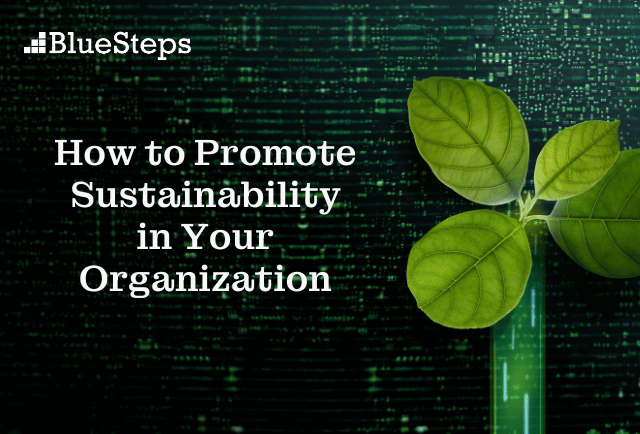 Image of plant in test tube and text next it saying "How to Promote Sustainability in Your Organization"