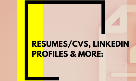 BlueSteps Executive Career Services